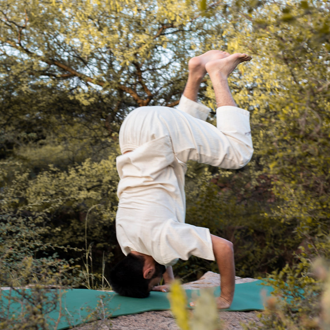 Sattva Yoga Pant White